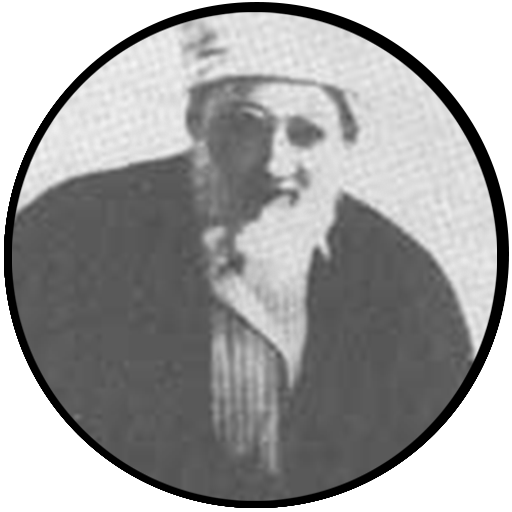بدر الدين الحسني